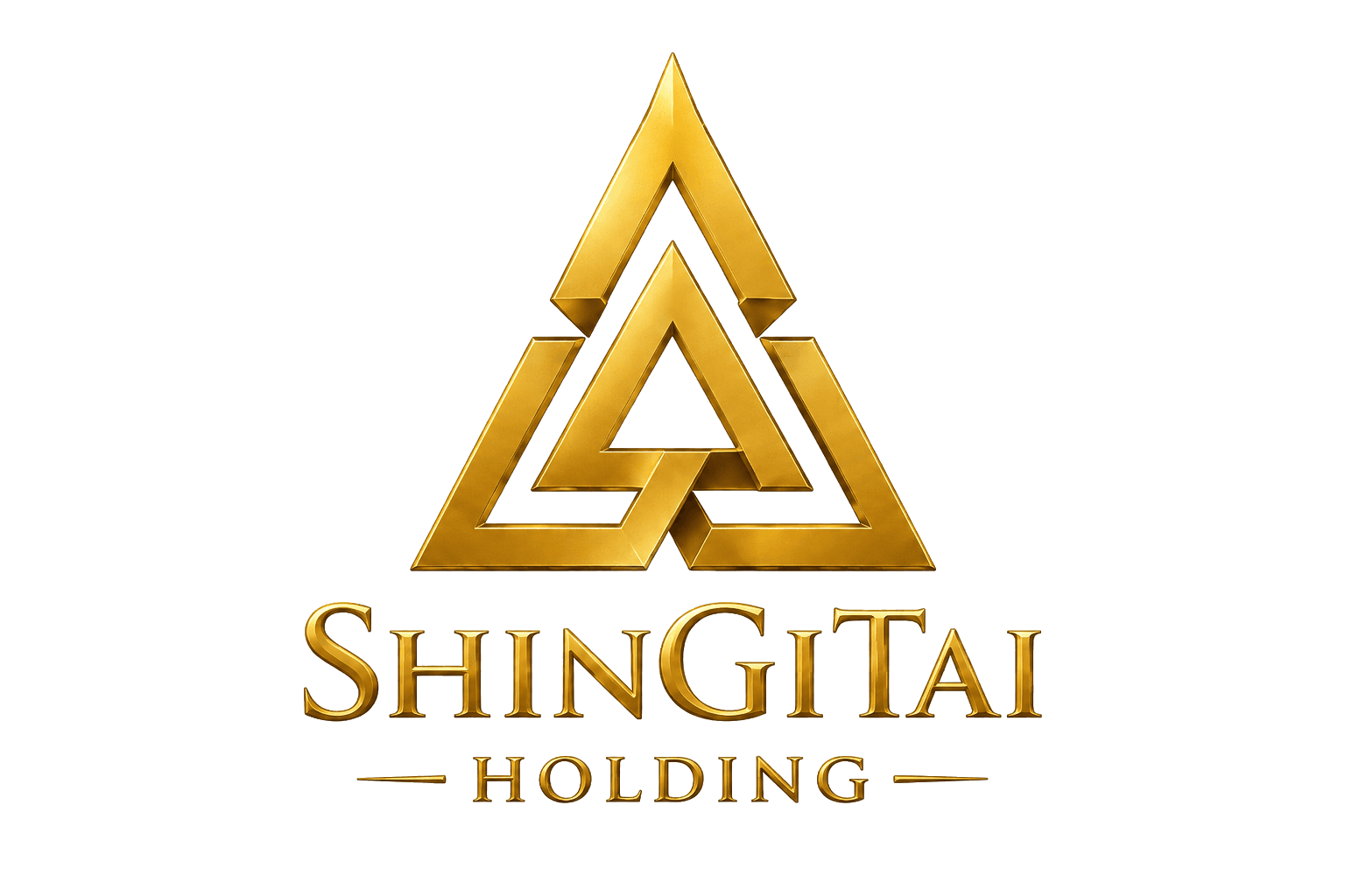 ShinGiTai Holding Groupe logo
